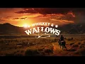 Cole Swindell - She Had Me At Heads Carolina (Lyrics)