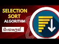 Selection sort algorithm Data structures and algorithms Sinhala