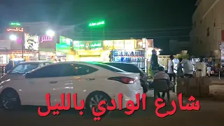 شارع الوادي بالليل دندنها