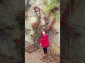 Adalya pendik'de