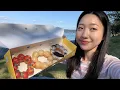 Seattle Vlog Review mochi doughnuts sub