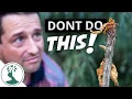 Don t Make This Mistake When Growing Cherries from Seed - Cherry Tree From Seed Update 3