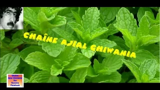 لأول مرة مجموعة مسناوة رشيد حوض النعناع Mesnawa Exclusive 