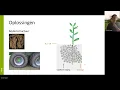 Download Lagu Webinar klimaatadaptatie - plantaardige productie