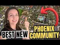Guest Casitas RV Garages Tiny Homes Big Homes - YOU MUST SEE This NEW Neighborhood in Phoenix AZ