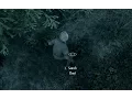 Skyrim Remastered Solitude Chest Invisible Chest Location