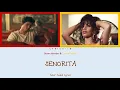 Shawn Mendes ft. Camila Cabello - Señorita (Color Coded Lyrics)