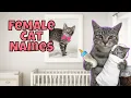 25 Rare Female Cat Names You ll LOVE