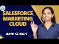AMP Script in Salesforce Marketing Cloud Salesforce Marketing Cloud Training CyberBrainer