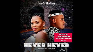 sun el musician feat nobuhle never never official audio 