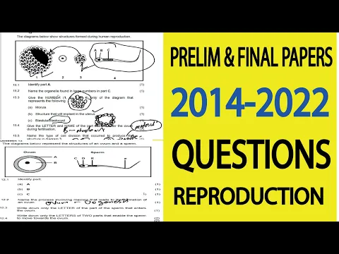 Download MP3 PRELIM PAPERS: Grade 12 life sciences Human reproduction: ovarian cycle : M.Saidi , Thundereduc