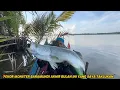 Download Lagu Detik-Detik Akhir Dari Perjuangan Menaklukan Monster Baramundi. #fishing 