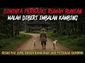 Download Lagu DIBERI IMBALAN KAMBING DARI BUNIAN SETELAH PERBAIKI RUMAH - cerita mistis