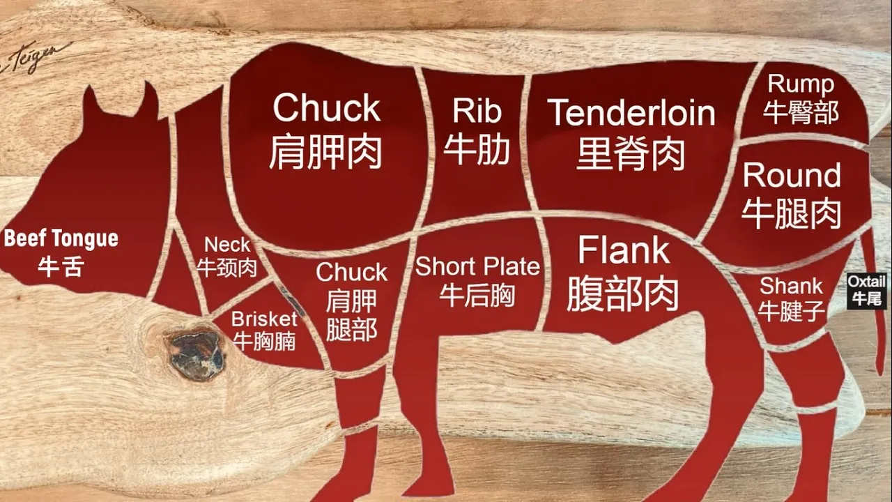 终于会选购牛肉啦!煎牛排炖牛肉做饺馅得心应手!彻底搞懂牛排牛肉!牛肉分布做法详解!Every Cut Of Meat Explained