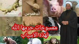 بشر مسخهم الله على شكل حيوانات وحرم أكلهم     فمن هم ولماذا فعلوا    دندنها