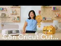 Can Cricut Cut Leather Suede Acrylic