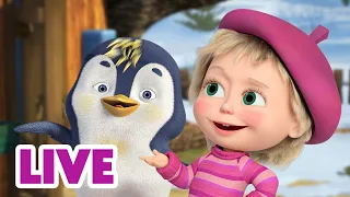 🔴 EN DIRECT 🐻👱🏻‍♀️ Masha et Miсhka ✨ Pourquoi les manchots ne peuvent-ils pas voler ? 🐧❌✈️
