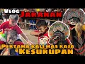 Lagu Vlog,Pertama kali mas raja kesurupan-arekbudoyo#arekbudoyo