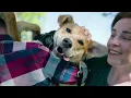 The Lucky Ones Kentucky Lottery s Kentucky Humane Society games are here