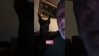 #fyp #dream #doberman #pets #boat