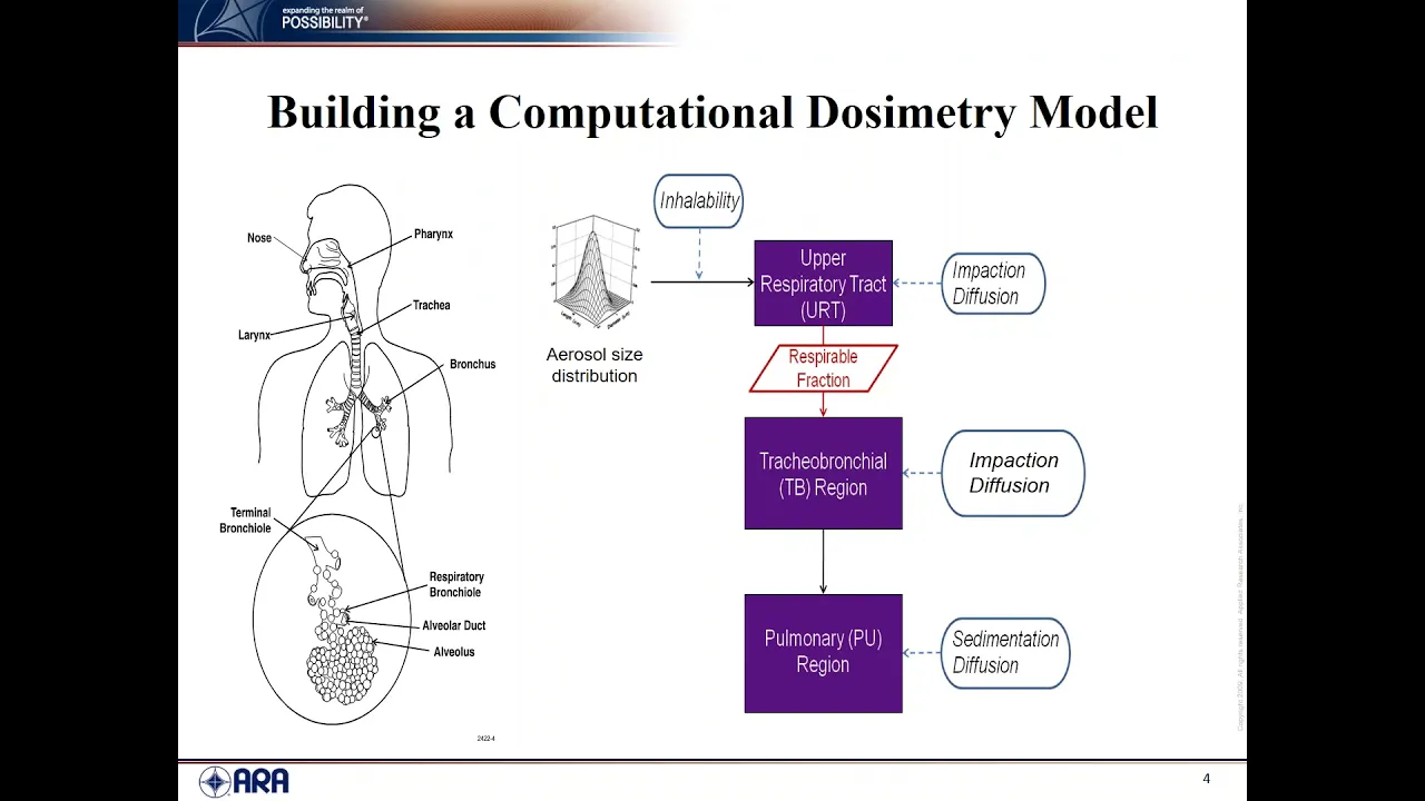 Multiple Path Particle Dosimetry (MPPD) Model and Its Applications