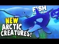 Download Lagu KILLER WHALE AND BELUGA IN NEW ARCTIC AREA! | Feed And Grow Fish Update Gameplay