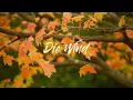 Download Lagu Wanie \u0026 Aidam John - Die Wind (Remix)