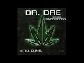 Dr. Dre - Still D. R. E. - (Instrumental Remake)