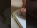 Plan with me bullet journal daily log morning routine