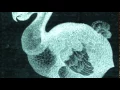 Aimee Mann - Red Vines