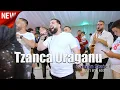 Download Lagu Tzanca Uraganu - Joc Bihoreana Rromani - Colaj Live 2021 NOU 🎤🎹💣