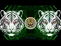 Download Lagu Brand Dj Remix Song RDX | Pramod Premi | Rangdari Dj Song | Dj Song | 2025 New Bhojpuri Dj Remix RDX