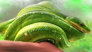 Import and create Python modules packages and libraries