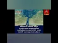 Download Lagu Reff Penantian - Armada Cover by Tri Suaka