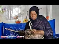 Download Lagu المين فاضيماته -(إيدياندوهنا) @KadaAinSalah 