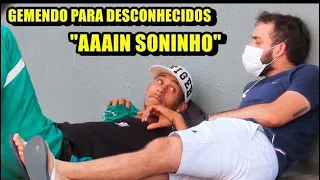 AS MELHORES PEGADINHAS DE 2022 PARTE 1