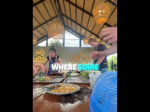 He Waited For This Moment 😂