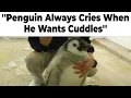 The Best Wholesome Memes