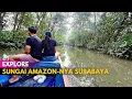Download Lagu EXPLORE KEBUN RAYA MANGROVE GUNUNG ANYAR SURABAYA ‼ Wisata Surabaya