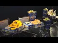 Sabres and Delaware North debut new menu