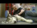Go Wild MythBusters