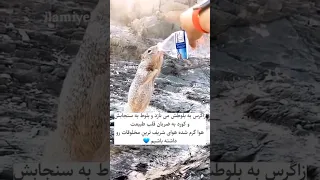 هوا به شدت گرم شده هوای شریفترین مردم این دنیا رو داشته باشیم 