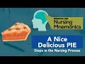 Nursing Mnemonics A Nice Delicious PIE - Steps in the Nursing Process