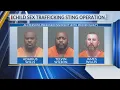 Three men arrested in Texarkana child sex sting