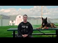 Meet an Anaheim Police K9 Officer