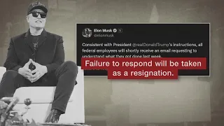 Federal agencies react to Musk's latest demands
