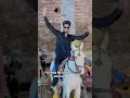Download Lagu White brown black❤️#horse #sheikhafaqraza #karanaujla #punjabisong #reels #trending