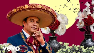 Juan Gabriel - Las Tardes Aquellas (Official)