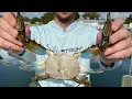 2 Steps To Clean A Blue Crab The Quick Easy Way