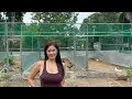 BAGONG BREEDING PEN DESIGN